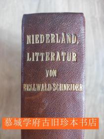 皮装《荷兰文学史》FERDINAND VON HELLWALD: GESCHICHTE DER NIEDERLÄNDISCHEN LITTERATUR