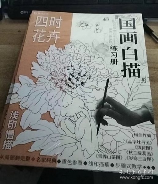 国画白猫.四时花卉