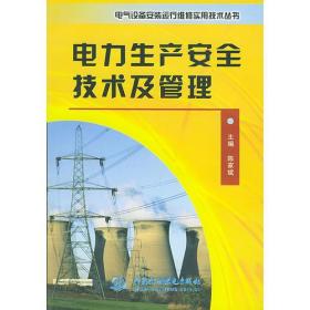 电力生产安全技术及管理——电气设备安装运行维修实用技术丛书