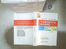 广东战略性新兴产业及促进政策研究 。。