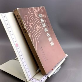 辛亥革命在湖南 论文集