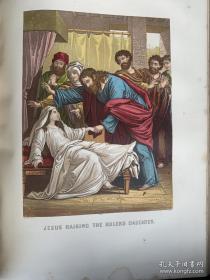 1858年古董英文圣经Holy bible, Christion Jehovah 圣经新旧约,纯牛皮封面，超大开本35X26X9cm, 重约10斤。铜扣黄铜包边硬精装，品相完美。英国哈丁顿福音会部长约翰·布朗注解版，极珍贵稀有版本，约翰·布朗被美国的权威期刊《大西洋月刊》评为影响美国100位人物第78名，包含基督教要理，牧者生平等，以及圣经时代的动植物插图。大量彩色圣经人物故事木版画插图。极品收藏