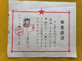 1960年毕业证书