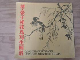 清张子祥花鸟写生画谱
