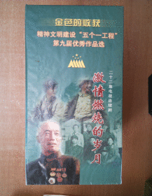 激情燃烧的岁月 VCD      【电视剧——孙海英 吕丽萍】22碟     十品未拆