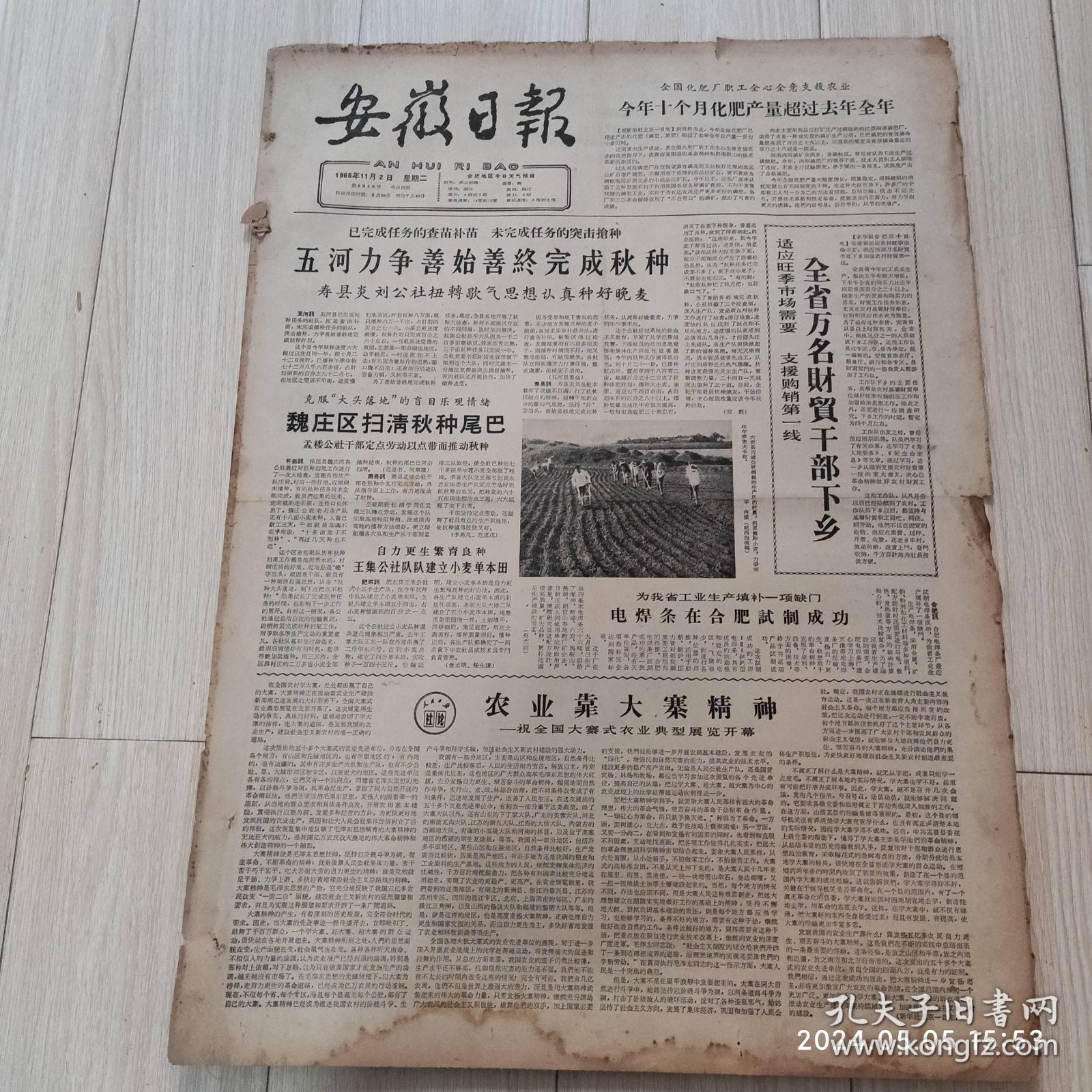 安徽日报1965年11 2共四版生日报 配高档礼盒