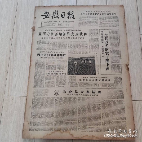 安徽日报1965年11 2共四版生日报 配高档礼盒