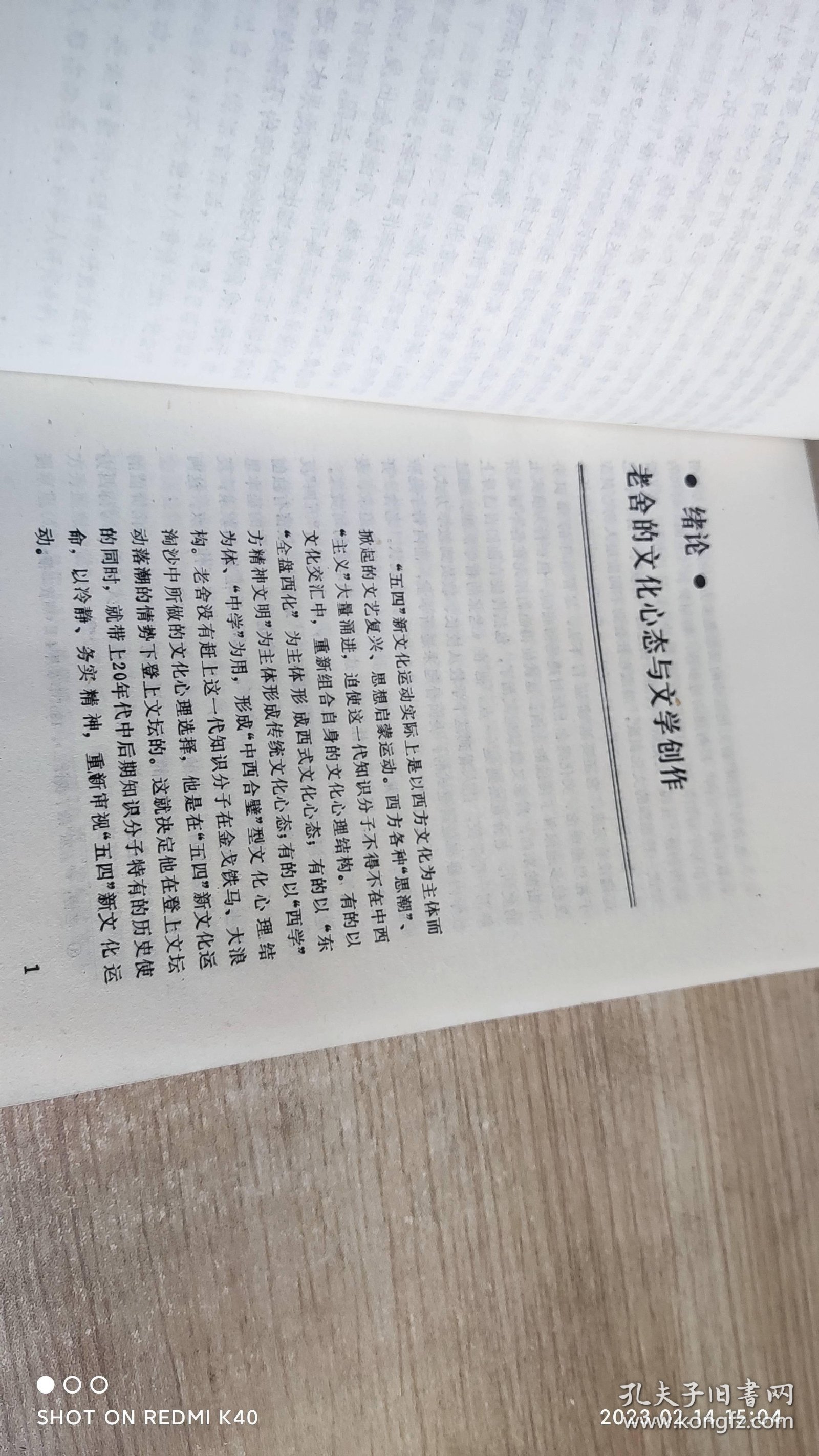 老舍小说艺术心理研究 谢昭新著 北京十月文艺出版社