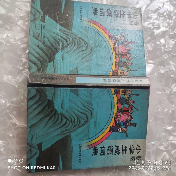 彩图小学生成语词典 江苏少年儿童出版社著 江苏少年儿童出版社