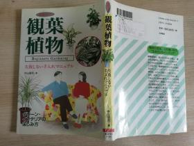 観叶植物失败しない手入れマニユアル  日文原版书