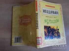 世界文学名著精选钢铁是怎样炼成的   / 2002年一版一印