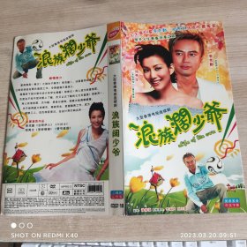 浪族阔少爷大型香港电视连续 DVD两蝶装