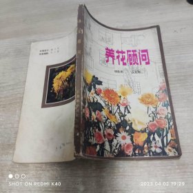 眼花顾问80年代 胡良民著 江苏科学技术出版社