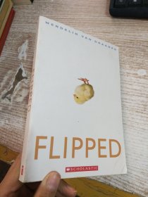 FLIPPED  具体看图