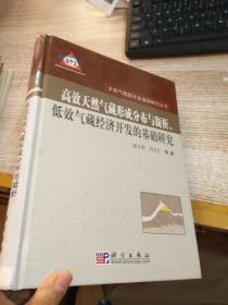 高效天然气形成分布与凝析、低效气藏经济开发的基础研究