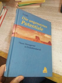 DIE UNGENUTZTEN POTENTIALE  具体看图