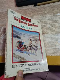 The Mystery at Snowflake Inn