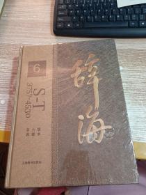 辞海 第六版 典藏本  6
