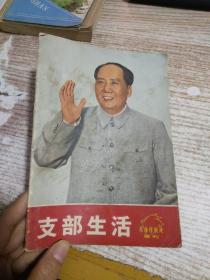 支部生活 革命样板戏画刊