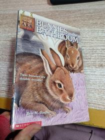 Bunnies in the Bathroom