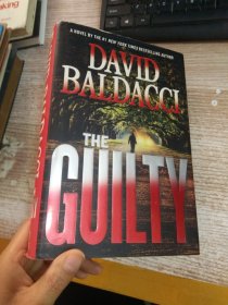 DAVID BALDACCI THE GUILTY