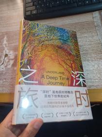 深时之旅（未来人类备忘录。反思明天，重启当下！剑桥学者、布克奖评委会主席高赞代表作）