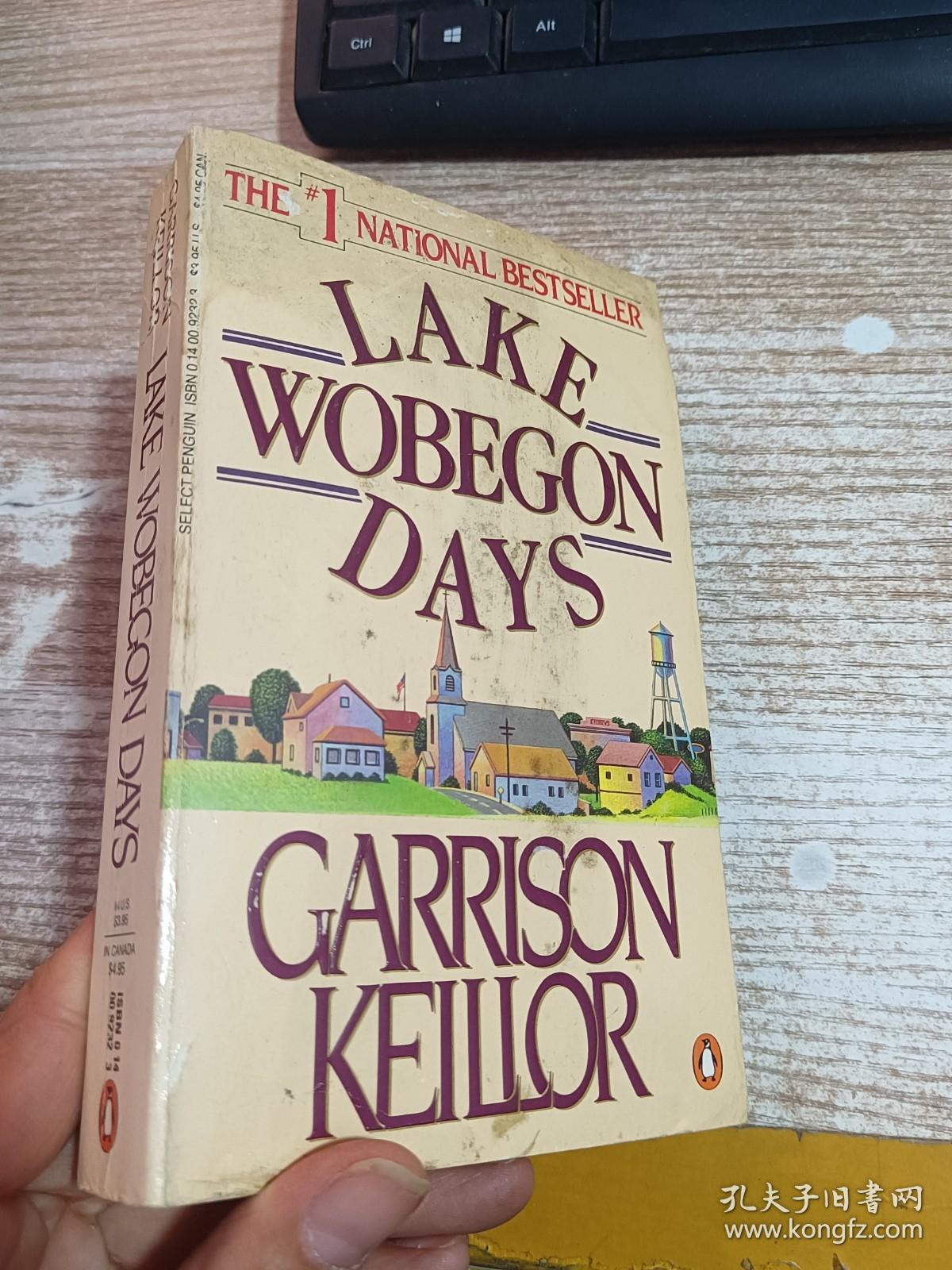 LAKE WOBEGON DAYS  具体看图