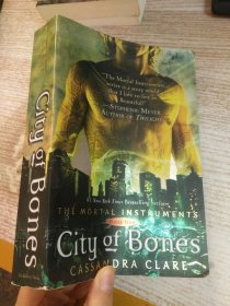 City of Bones (The Mortal Instruments, Book 1)  圣杯神器1：骇骨之城