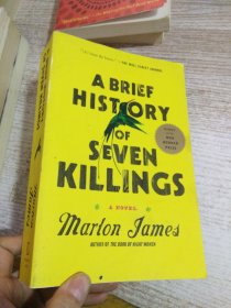 A BRIEF HISTORY OF SEVEN KILLINGS  具体看图