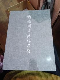 柳培琪书法作品集 全两册【未开封 有函套】