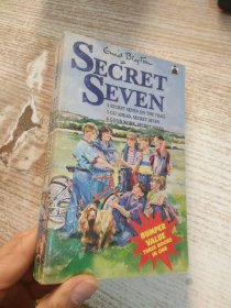 SECRET SEVEN 具体看图