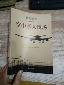 空中杀人现场