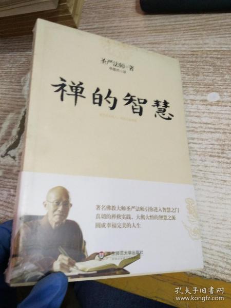 禅的智慧（世界著名佛教大师圣严法师引你进入大彻大悟的智慧之门，圆成幸福美满的人生）