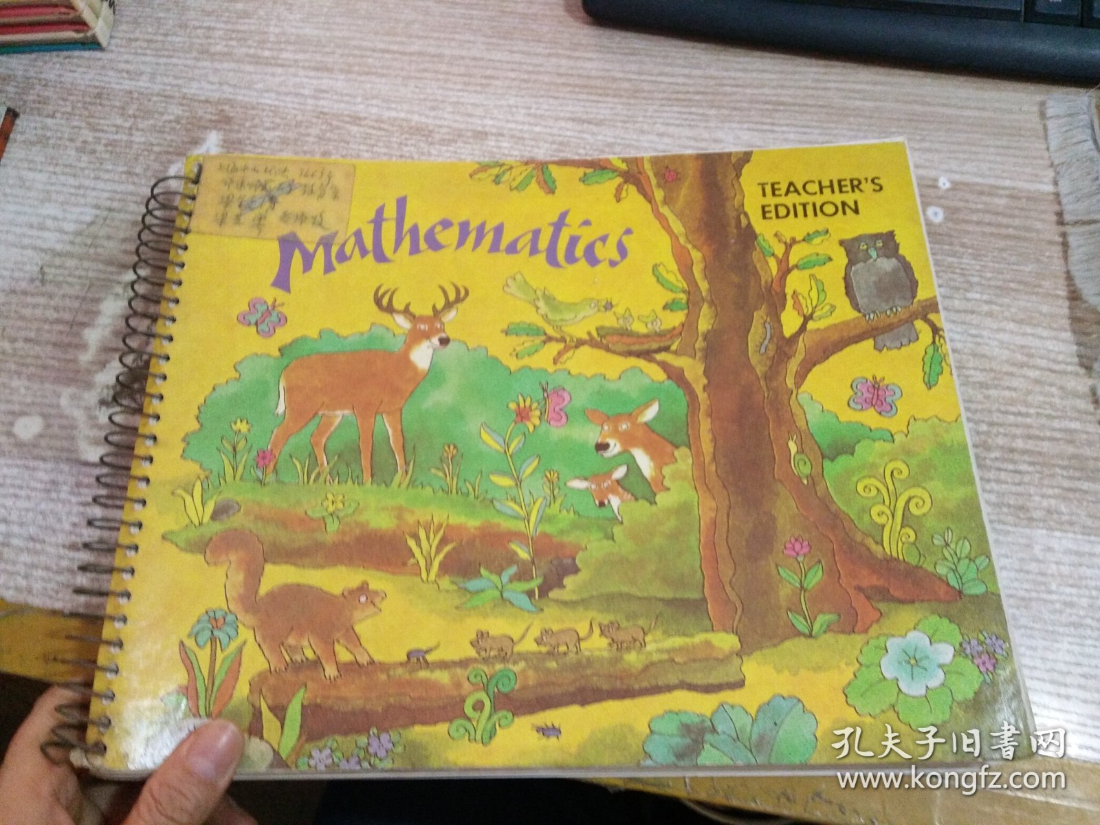 MATHEMATICS TEACHER'S EDITION BOOK 1 具体看图