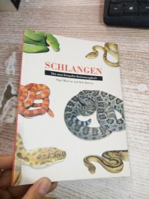 SCHLANGEN  具体看图