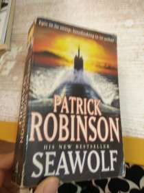 Patrick Robinson  Seawolf
