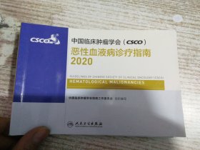 中国临床肿瘤学会（CSCO）恶性血液病诊疗指南2020