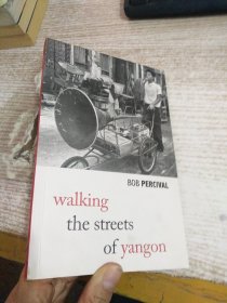 WALKING THE STREETS OF YANGON  具体看图