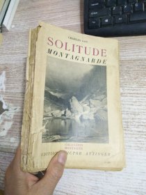 SOLITUDE MONTAGNARDE  品弱具体看图