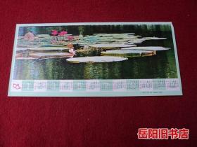 湖南画报1982年摄影年历画片 画报内页赠页  宣传画