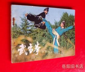 武当拳 下册