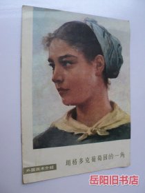 朗格多克葡萄园的一角