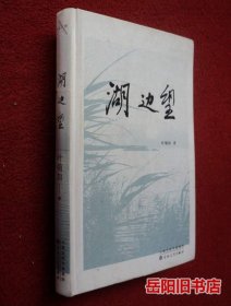 湖边望