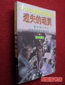 迷失的魂灵--湖北荆沙特大抢劫团伙案侦破纪实