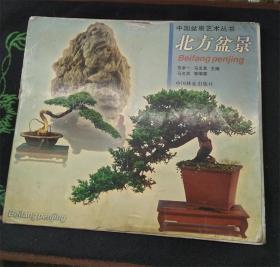 中国盆景艺术丛书：北方盆景