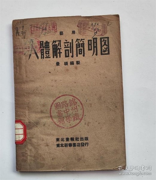 人体解刨简明图 1948年东北画报社出版医学类