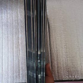 马丁内斯死在惊奇馆13本合售