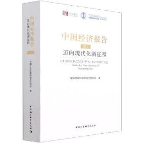 中国经济报告2021:迈向现代化新征程