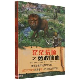 国际少年生存小说典藏：茫茫荒原之勇敢的心