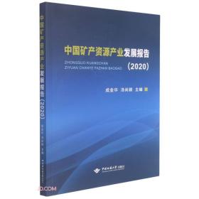 中国矿产资源产业发展报告(2020)